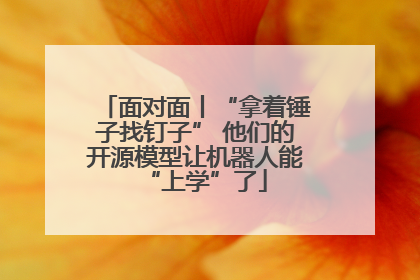 面对面丨“拿着锤子找钉子” 他们的开源模型让机器人能“上学”了